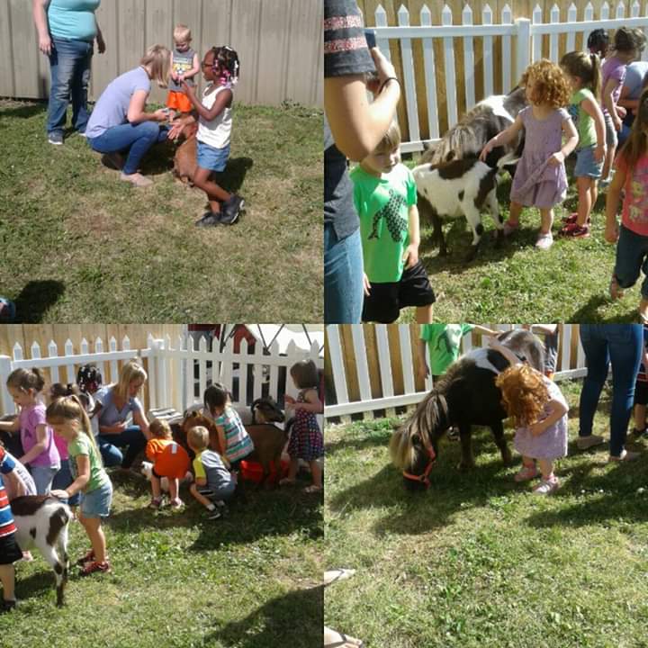 Hire Masters Petting Zoo Animal Entertainment in Fillmore, Indiana