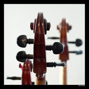 Mayfield Strings