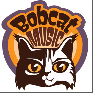 Bobcat Music - Wedding DJ / Mobile Game Activities in Freeville, New York