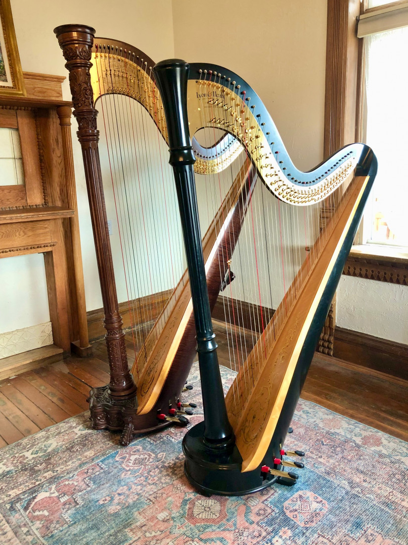 Gallery photo 1 of McClellan Harp Studio