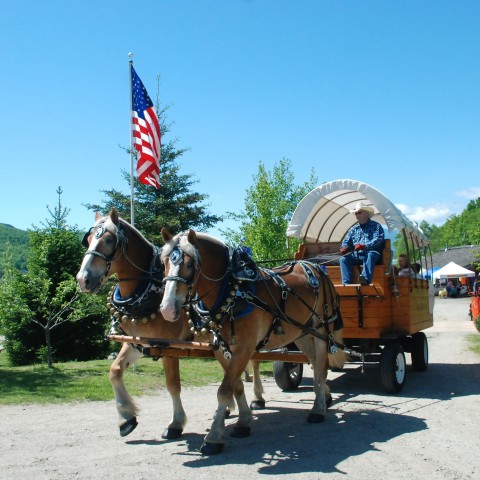 Hire Meadow Creek Farm of Maine - Horse Drawn Carriage in Sumner, Maine