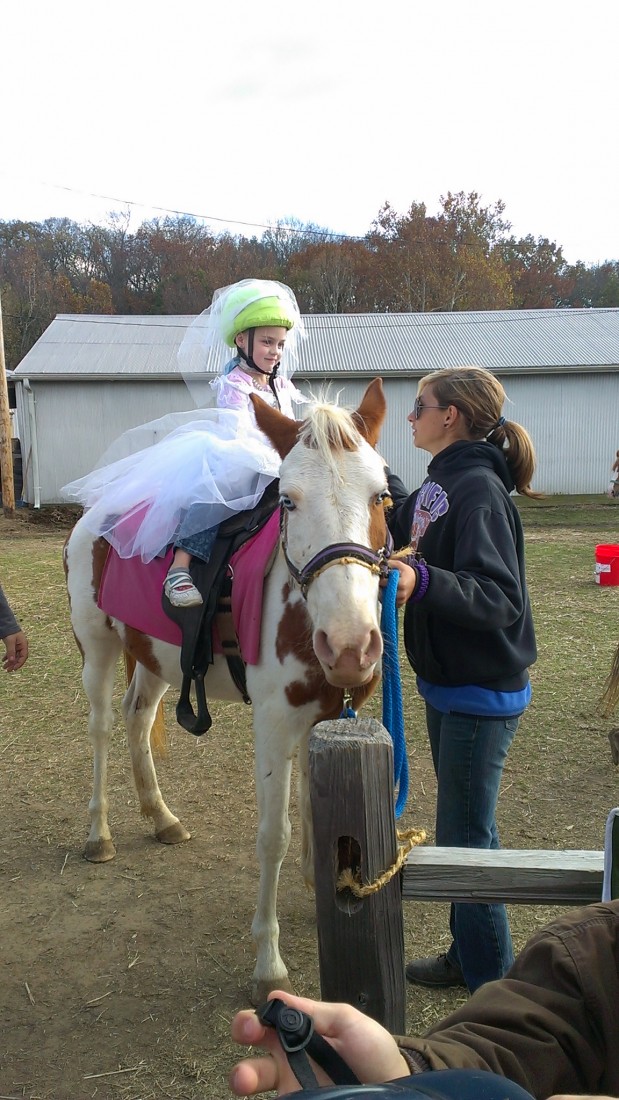 Gallery photo 1 of Meadow Crest Farm Pony Rides