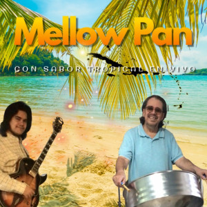 Mellow Pan Band - Steel Drum Band in Hidalgo, Texas