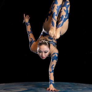 Melody contortion-hand balancer - Contortionist in Arlington, Virginia