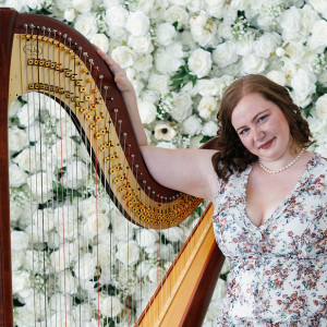 Melody Stein Harpist, LLC