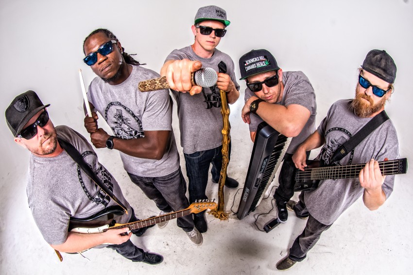 Hire Mendo Dope - Party Band in Ukiah, California