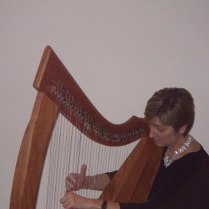 Meredith Kohn Bocek - Harpist / Celtic Music in Apalachin, New York