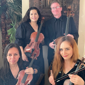 Meridian String Quartet - String Quartet / Wedding Entertainment in Arlington, Texas