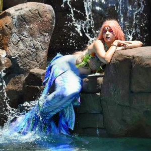 Mermaid Midnight Tides - Mermaid Entertainment in Fullerton, California