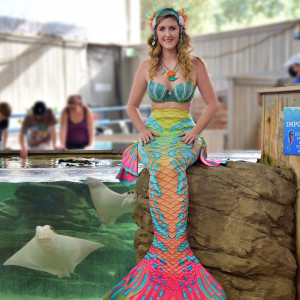 Mermaid Scarlett the Texas Mermaid - Costumed Character in Greenville, Texas