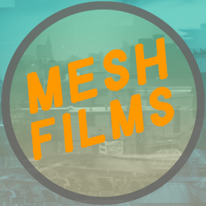 Mesh Films - Wedding Videographer / Videographer in Orlando, Florida