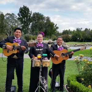 Mariachi Trio Los Azulado