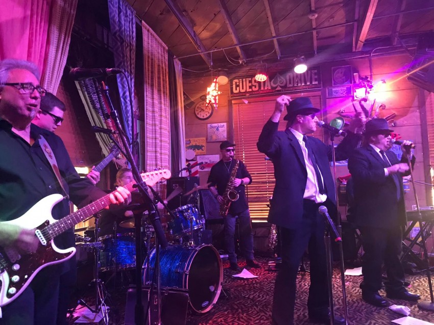 Hire Briefcase Blues Brothers Revue Party Band in Sacramento, California