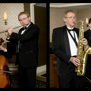 Mike Davis Trio - Classical Ensemble / Wedding Musicians in Traverse City, Michigan