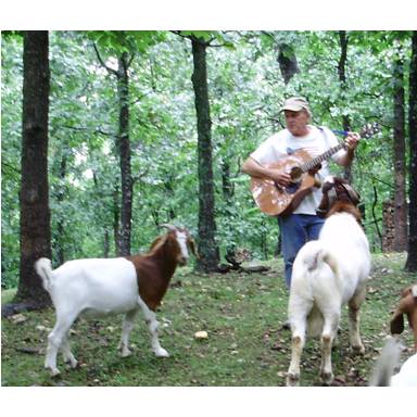 Gallery photo 1 of Mike Todd, the Goat Whisperer