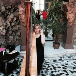 AMAZING HARP - Harpist / Wedding Musicians in Ewing, New Jersey