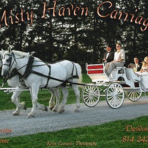 Misty Haven Carriage