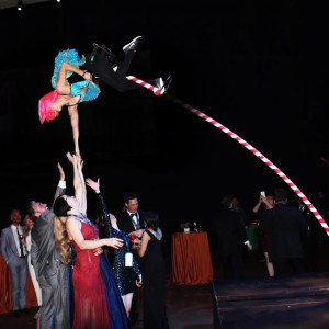 Homestead Circus Productions - Circus Entertainment in Denver, Colorado