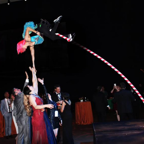 Hire Homestead Circus Productions - Circus Entertainment in Denver ...