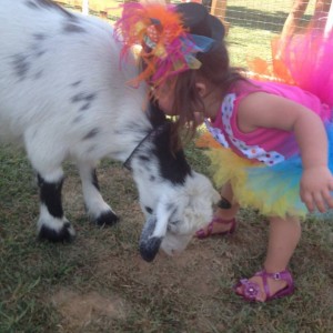 Molly's Ark Mobile Petting Zoo & Pony/Horse Rides