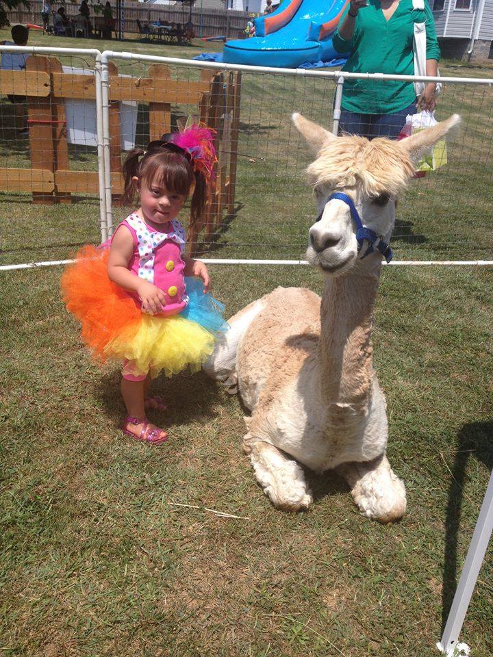 Gallery photo 1 of Molly's Ark Mobile Petting Zoo & Pony/Horse Rides