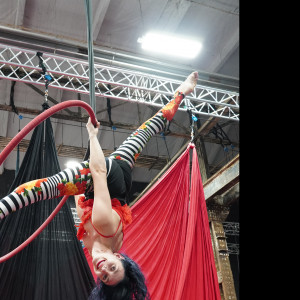 Moonbird - Circus Entertainment in Rochester, New York
