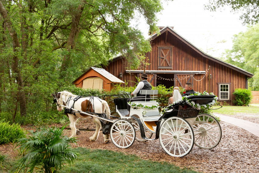 Gallery photo 1 of Moonlit Acre Carriage Rides