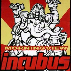"Morning View" INCUBUS Cover Band
