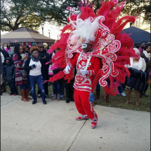 Mr. Mardi Gras! - Mardi Gras Entertainment in Mobile, Alabama