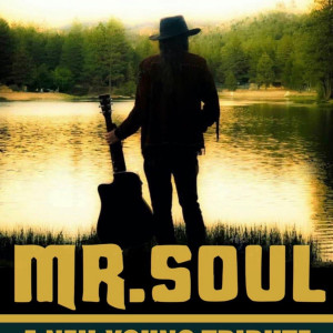 Mr Soul: A Neil Young Tribute - Sound-Alike in Glendale, California
