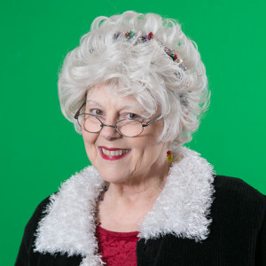 Mrs. Claus - Storyteller in Alpharetta, Georgia
