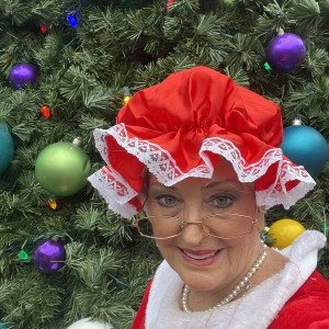 Mrs Debbie Claus - Mrs. Claus in Lutz, Florida