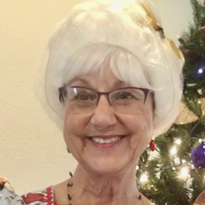 Mrs. Sunshine Claus Storytelling - Mrs. Claus in Nocatee, Florida