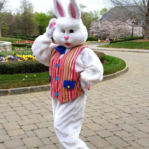 Ms Believable - Easter Bunny in Kings Mountain, North Carolina