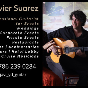 Multi Styles Guitarist for Events - Guitarist in Miami, Florida