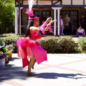 Multicultural- Indigenous Dancer - Dancer / Hawaiian Entertainment in Santa Cruz, California