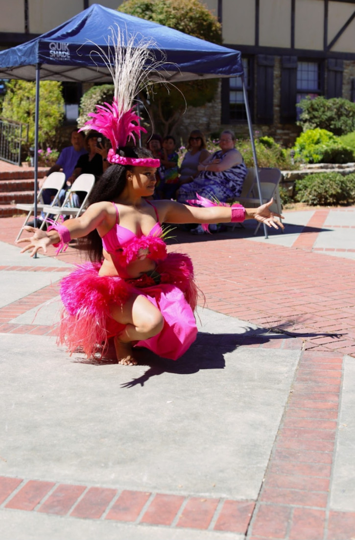 Gallery photo 1 of Multicultural- Indigenous Dancer