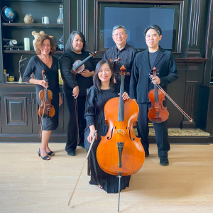 Music4Life Ensemble - Classical Ensemble in Ajax, Ontario