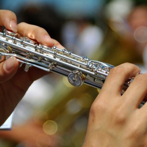 Music For Your Service - Flute Player / Violinist in Baltimore, Maryland