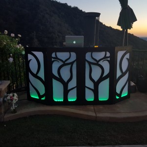 Musical Phunktions Celebration DJs - Wedding DJ in Santa Monica, California