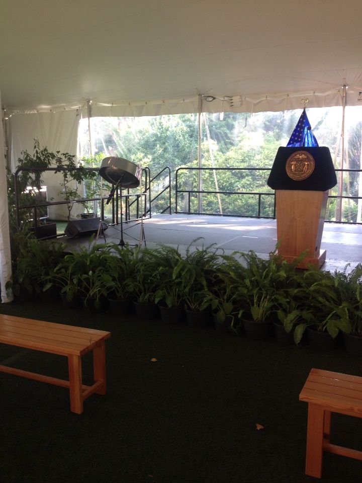 Hire Steel Drum Vibes by Mustafa Alexander Steel Drum Player in