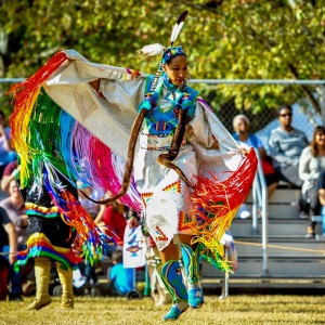 Native Insights - Native American Entertainment in Orlando, Florida