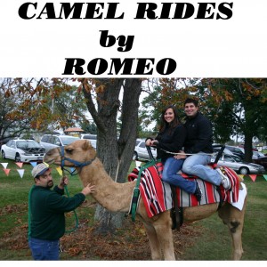 Nature's Creek Zoo (camel rides and exotic zoo)