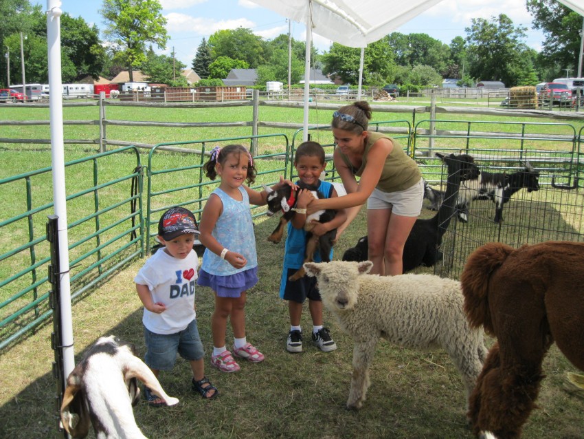Hire Nature's Creek Zoo (camel rides and exotic zoo) Petting Zoo in