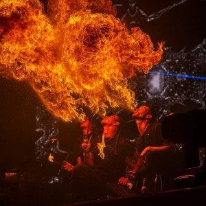 Navak's Dragons - Fire Performer in Los Angeles, California