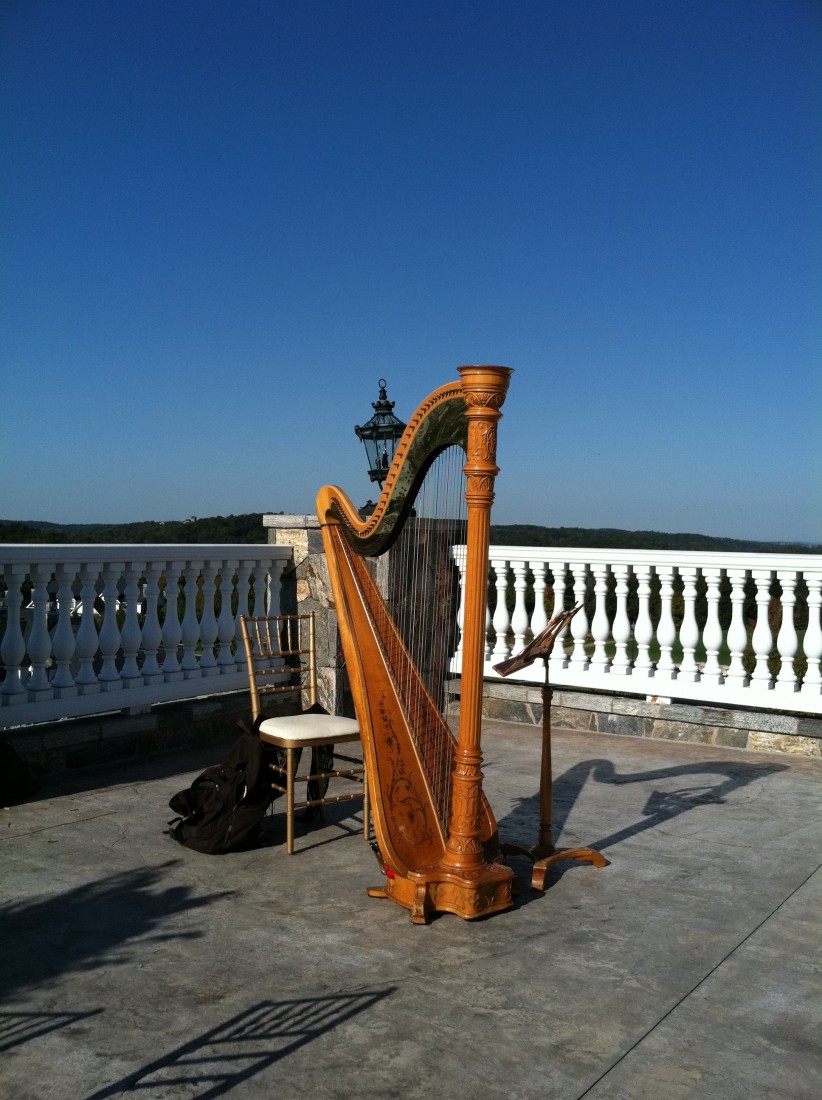Gallery photo 1 of New York Harpist
