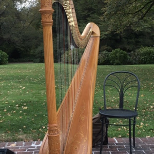 New York Harpist - Harpist in Glen Cove, New York