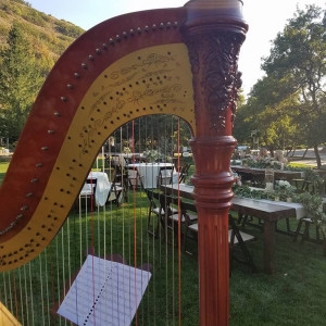 Nicole Kirkham Music - Harpist in Orem, Utah