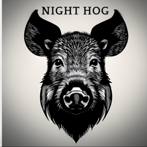 Night Hog - Cover Band / Wedding Musicians in Baton Rouge, Louisiana