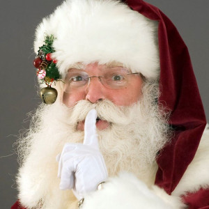 Nik Noel from NoVa - Santa Claus in Herndon, Virginia